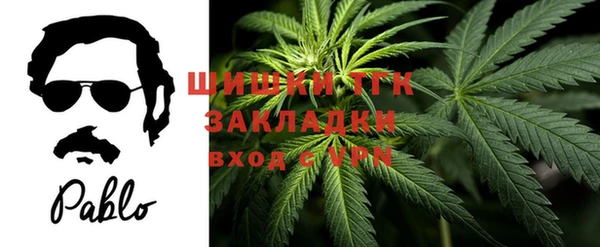 MESCALINE Елизово
