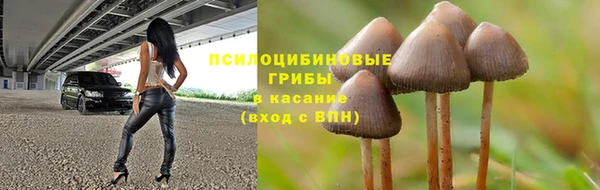 a pvp Елабуга