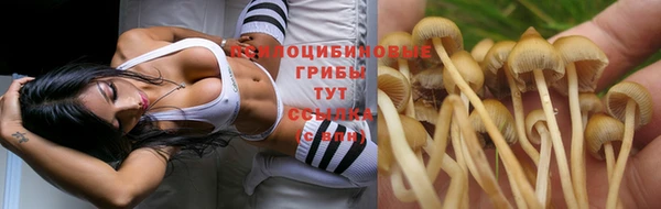ешки Баксан