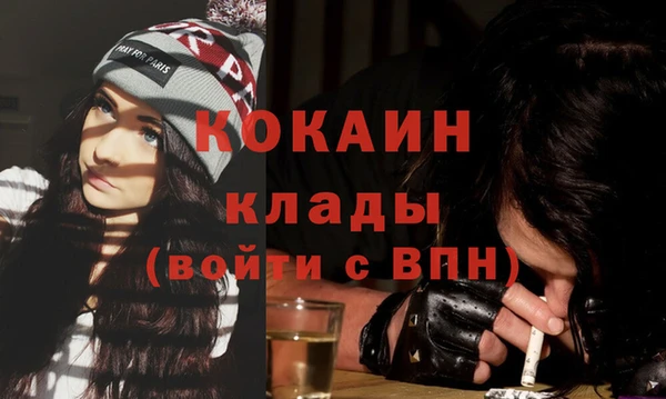 тгк Ельня