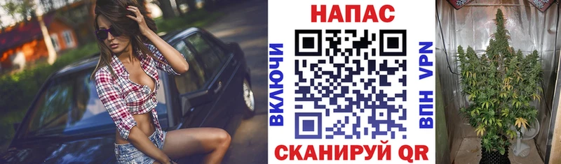 ссылка на мегу как войти  Юрюзань  Канабис гибрид 